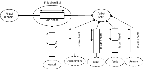 Domainmodel assortimentbeheer